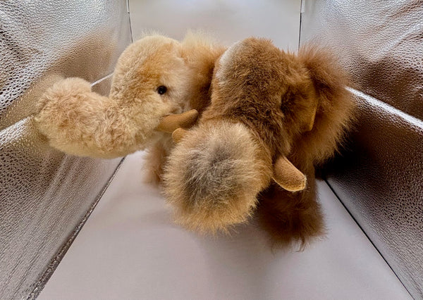 Alpaca Woolly Mammoth Brown