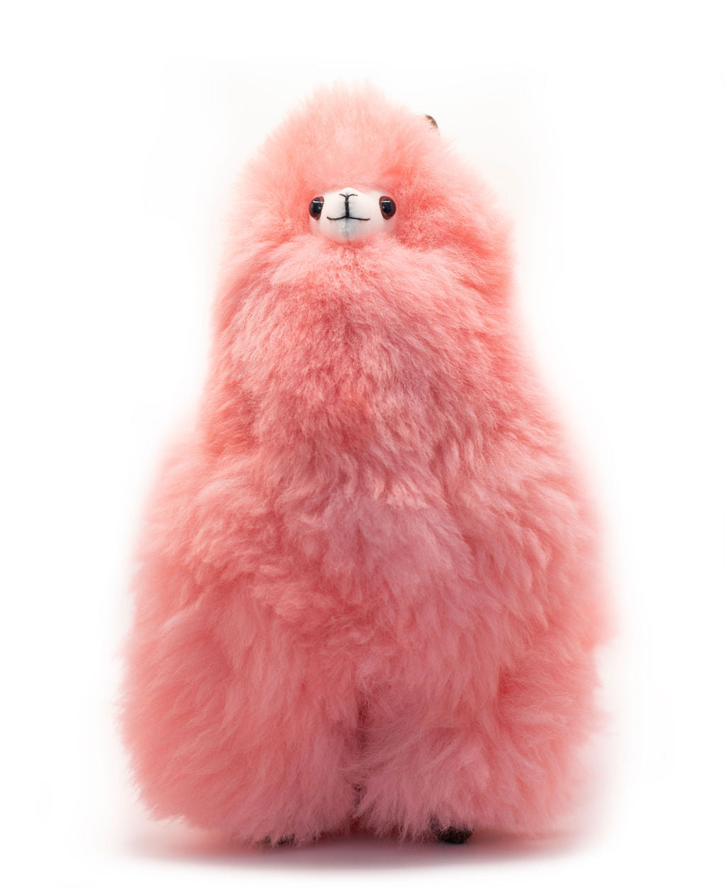 ビカクシダ P.  Ape(PUP)from Fern's Artco Rosado Alpaca Stuffed Toy - Channel Pink Alpaca 12