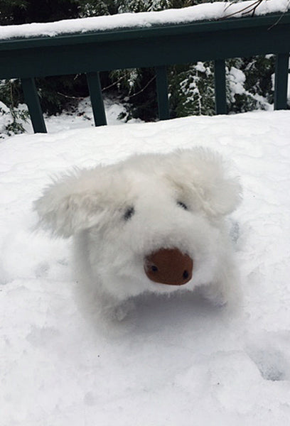Alpaca Stuffed Toy - White Piggy